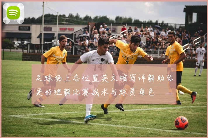 足球场上各位置英文缩写详解助你更好理解比赛战术与球员角色