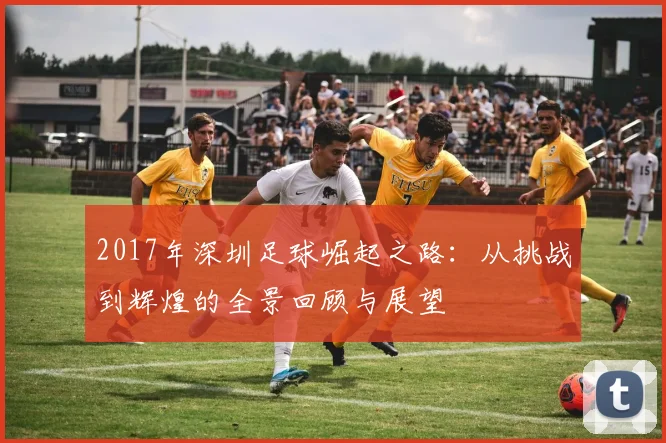 2017年深圳足球崛起之路：从挑战到辉煌的全景回顾与展望